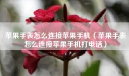 苹果手表怎么连接苹果手机（苹果手表怎么连接苹果手机打电话）