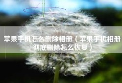 苹果手机怎么删除相册（苹果手机相册彻底删除怎么恢复）