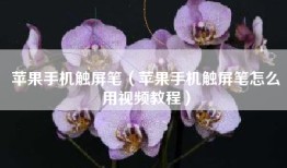 苹果手机触屏笔（苹果手机触屏笔怎么用视频教程）