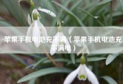 苹果手机电池充不满（苹果手机电池充不满电）