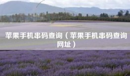 苹果手机串码查询（苹果手机串码查询网址）