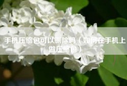 手机压缩包可以删除吗（如何在手机上做压缩包）