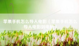 苹果手机怎么导入电影（苹果手机怎么导入电影到电脑）