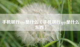 手机银行app是什么（手机银行app是什么东西）