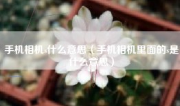 手机相机s什么意思（手机相机里面的s是什么意思）