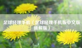 足球经理手机（足球经理手机版中文版破解版）