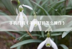 手机打码（手机打码怎么操作）