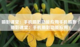 摄影课堂：手机摄影功能应用手机摄影「摄影课堂：手机摄影功能应用」