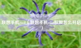 联想手机root（联想手机root权限怎么开启）