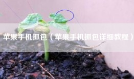 苹果手机抓包（苹果手机抓包详细教程）