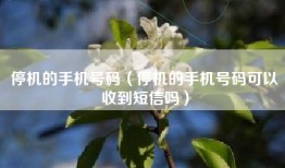 停机的手机号码（停机的手机号码可以收到短信吗）