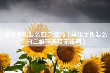 苹果手机怎么扫二维码（苹果手机怎么扫二维码连接无线网）