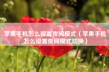 苹果手机怎么设置夜间模式（苹果手机怎么设置夜间模式切换）