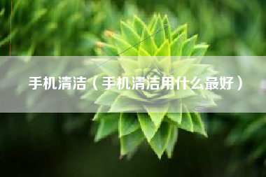 手机清洁（手机清洁用什么最好）