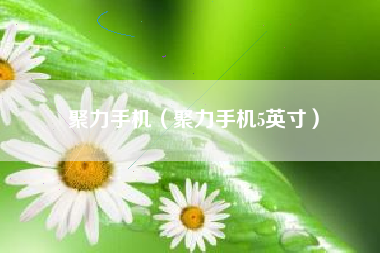 聚力手机（聚力手机5英寸）