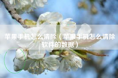 苹果手机怎么清除（苹果手机怎么清除软件的数据）