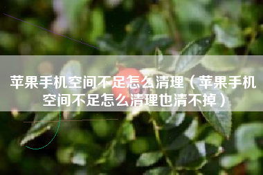 苹果手机空间不足怎么清理（苹果手机空间不足怎么清理也清不掉）