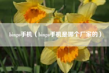 bingo手机（bingo手机是哪个厂家的）